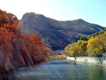 澳门天天彩期期精准平肖，济阳seo建站